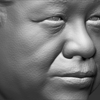Xi Jinping bust ready for full color 3D printing - Thumbnail 23