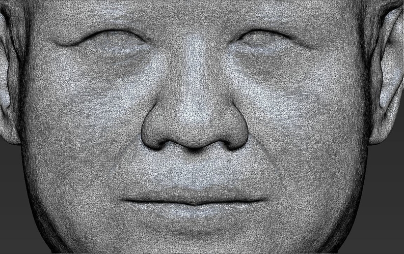 Xi Jinping bust ready for full color 3D printing 3D Print 232239