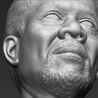 Morgan Freeman bust 3D printing ready stl obj - Thumbnail 11