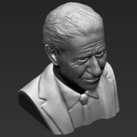 Prince Charles bust ready for full color 3D printing - Thumbnail 22