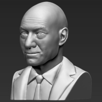 Professor X Charles Xavier bust 3D printing ready stl obj - Thumbnail 3