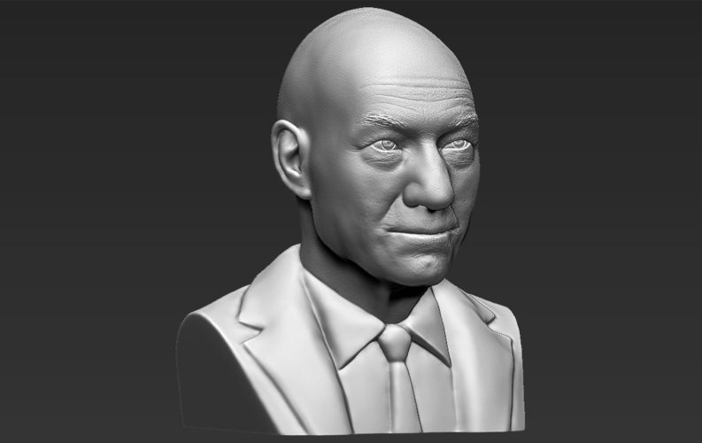 Professor X Charles Xavier bust 3D printing ready stl obj 3D Print 232436