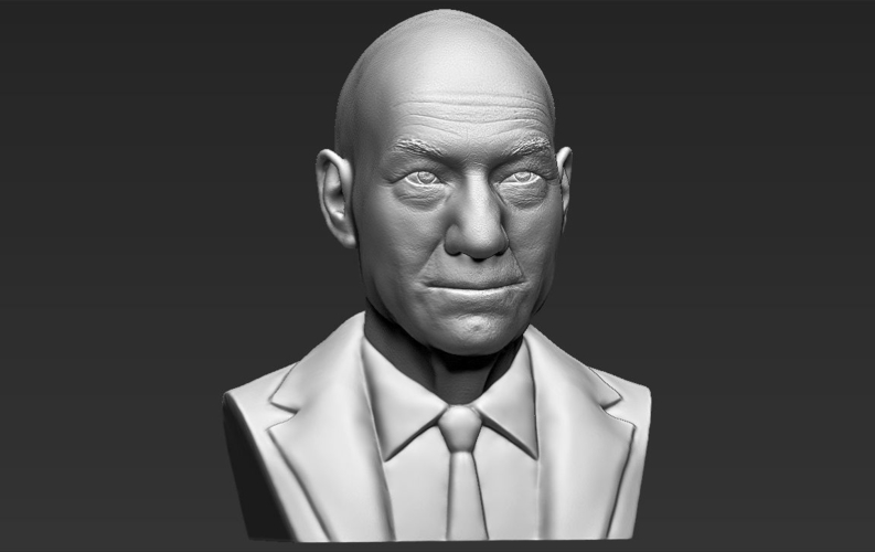 Professor X Charles Xavier bust 3D printing ready stl obj 3D Print 232437