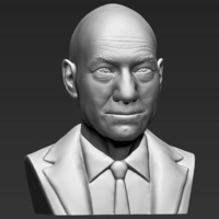 Professor X Charles Xavier bust 3D printing ready stl obj - Thumbnail 6
