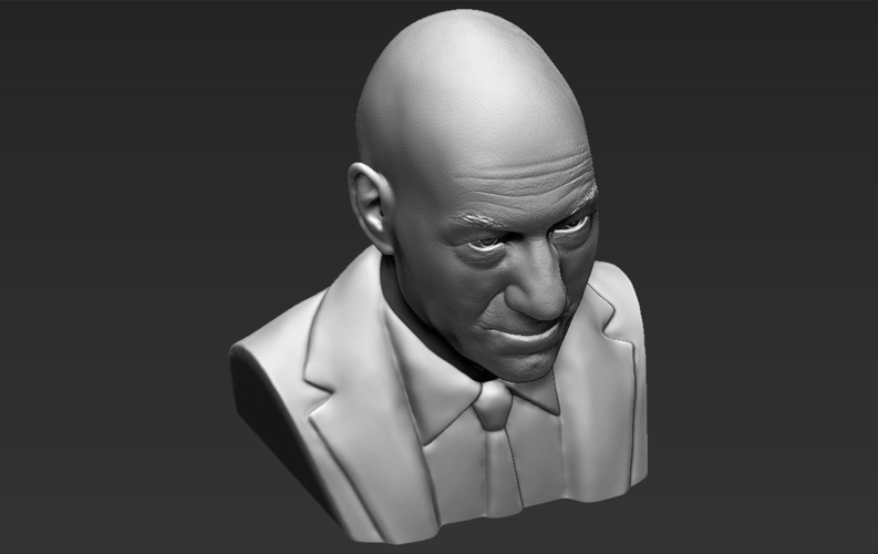 Professor X Charles Xavier bust 3D printing ready stl obj 3D Print 232438