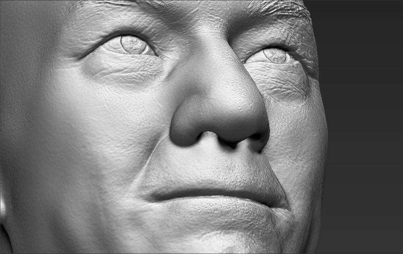 Professor X Charles Xavier bust 3D printing ready stl obj 3D Print 232440