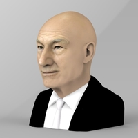 Professor X Charles Xavier bust ready for full color 3D printing - Thumbnail 3