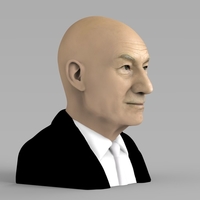 Professor X Charles Xavier bust ready for full color 3D printing - Thumbnail 5