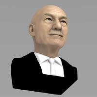 Professor X Charles Xavier bust ready for full color 3D printing - Thumbnail 10