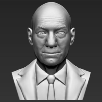 Professor X Charles Xavier bust ready for full color 3D printing - Thumbnail 13
