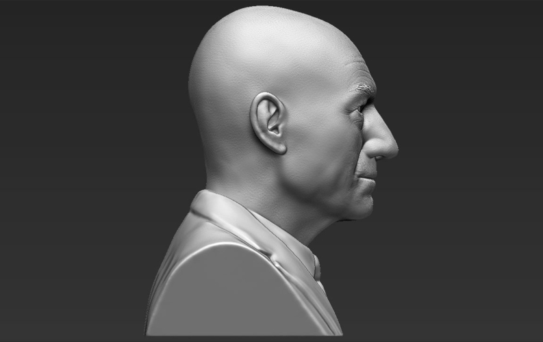 Professor X Charles Xavier bust ready for full color 3D printing 3D Print 232460