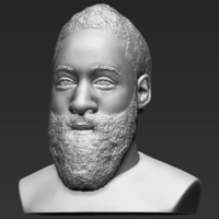James Harden bust 3D printing ready stl obj - Thumbnail 2