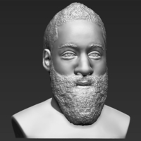 James Harden bust 3D printing ready stl obj - Thumbnail 8
