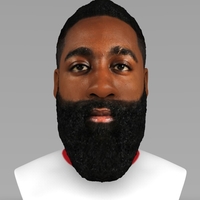 Small James Harden bust ready for full color 3D printing 3D Printing 232485