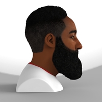 James Harden bust ready for full color 3D printing - Thumbnail 4
