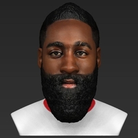 James Harden bust ready for full color 3D printing - Thumbnail 9