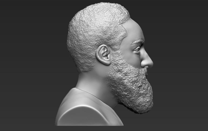 James Harden bust ready for full color 3D printing 3D Print 232499