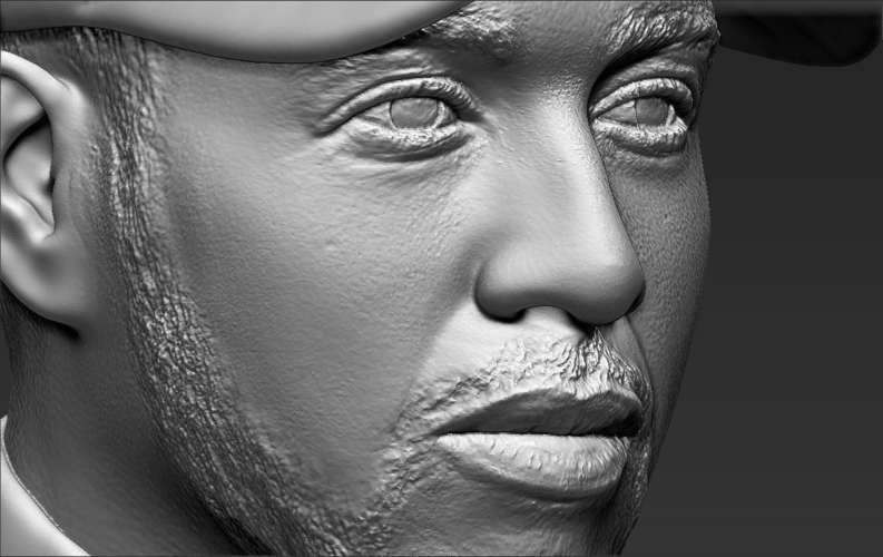 Lewis Hamilton bust 3D printing ready stl obj 3D Print 232517