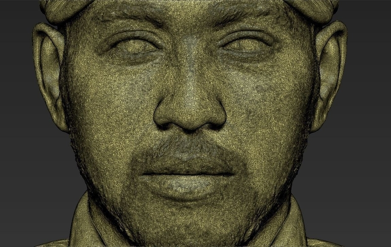 Lewis Hamilton bust 3D printing ready stl obj 3D Print 232521