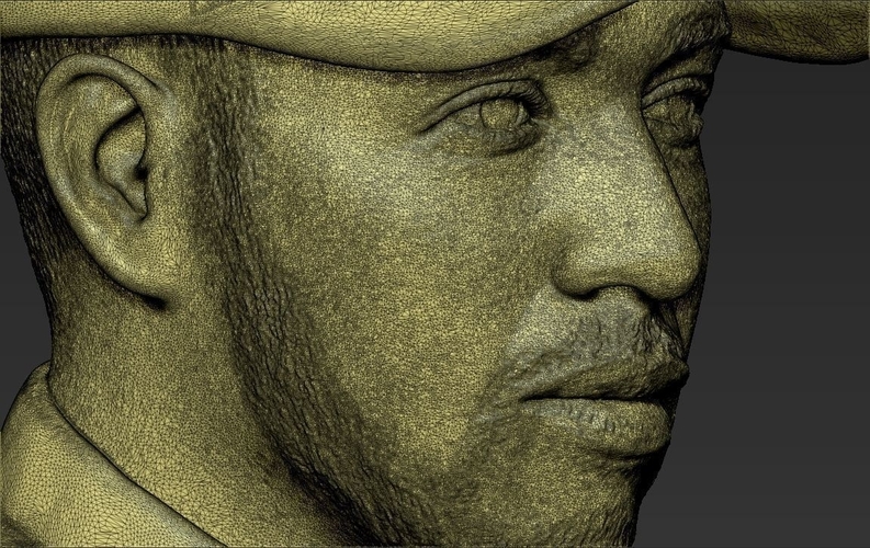 Lewis Hamilton bust 3D printing ready stl obj 3D Print 232522