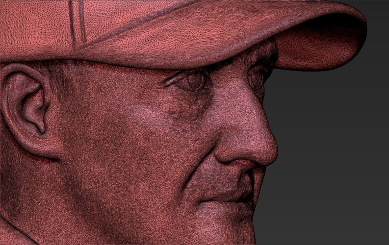 Michael Schumacher bust 3D printing ready stl obj 3D Print 232567