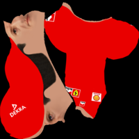 Michael Schumacher bust ready for full color 3D printing - Thumbnail 25