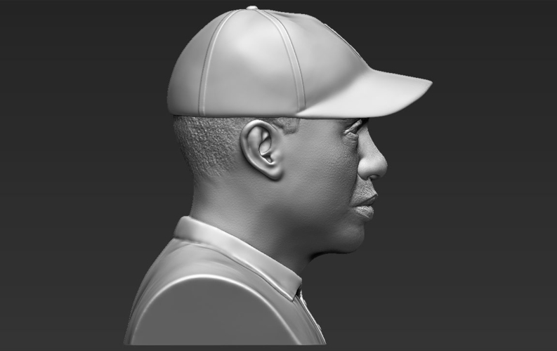 Tiger Woods bust 3D printing ready stl obj 3D Print 232597