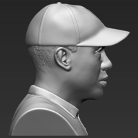 Tiger Woods bust 3D printing ready stl obj - Thumbnail 5