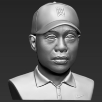 Tiger Woods bust 3D printing ready stl obj - Thumbnail 6