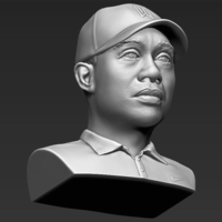 Tiger Woods bust 3D printing ready stl obj - Thumbnail 12