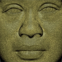 Tiger Woods bust 3D printing ready stl obj - Thumbnail 14