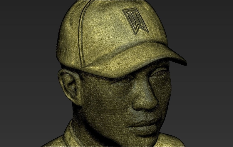 Tiger Woods bust 3D printing ready stl obj 3D Print 232607