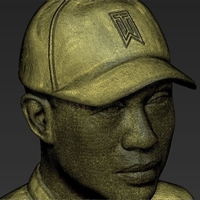 Tiger Woods bust 3D printing ready stl obj - Thumbnail 15