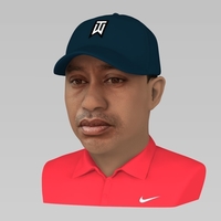 Tiger Woods bust ready for full color 3D printing - Thumbnail 2