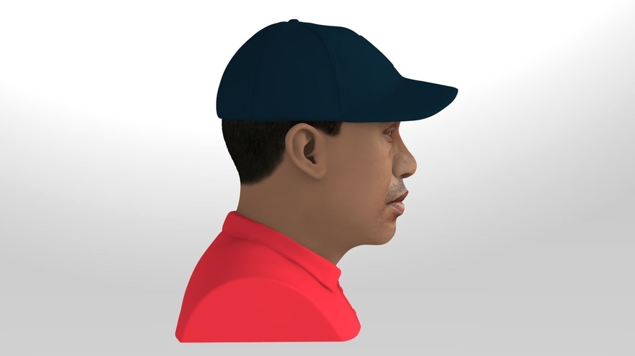 Tiger Woods bust ready for full color 3D printing 3D Print 232611