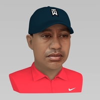 Tiger Woods bust ready for full color 3D printing - Thumbnail 6