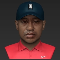 Tiger Woods bust ready for full color 3D printing - Thumbnail 11