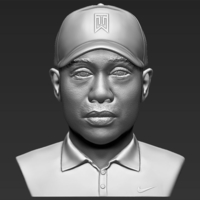 Tiger Woods bust ready for full color 3D printing - Thumbnail 13