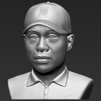 Tiger Woods bust ready for full color 3D printing - Thumbnail 14
