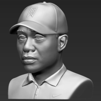 Tiger Woods bust ready for full color 3D printing - Thumbnail 15