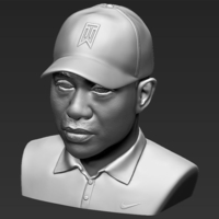 Tiger Woods bust ready for full color 3D printing - Thumbnail 19