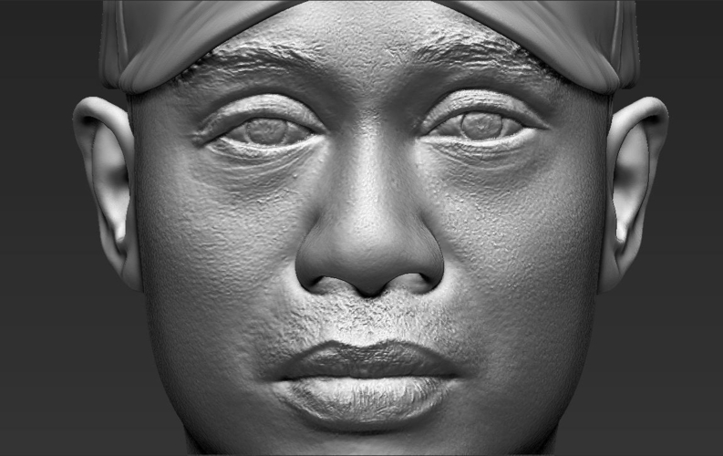 Tiger Woods bust ready for full color 3D printing 3D Print 232628