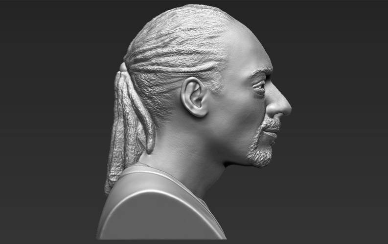 Snoop Dogg bust ready for full color 3D printing 3D Print 232649