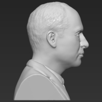 Prince William bust 3D printing ready stl obj - Thumbnail 4