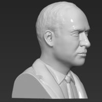 Prince William bust 3D printing ready stl obj - Thumbnail 5
