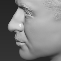 Prince William bust 3D printing ready stl obj - Thumbnail 13