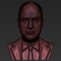 Prince William bust 3D printing ready stl obj - Thumbnail 14