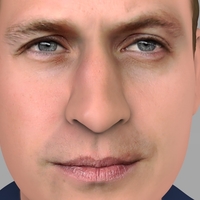 Prince William bust ready for full color 3D printing - Thumbnail 8