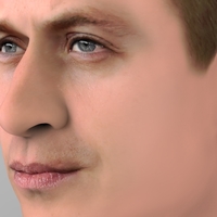 Prince William bust ready for full color 3D printing - Thumbnail 9