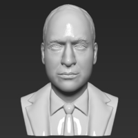 Prince William bust ready for full color 3D printing - Thumbnail 12